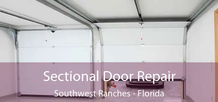 Sectional Door Repair Southwest Ranches - Florida