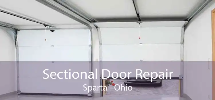 Sectional Door Repair Sparta - Ohio