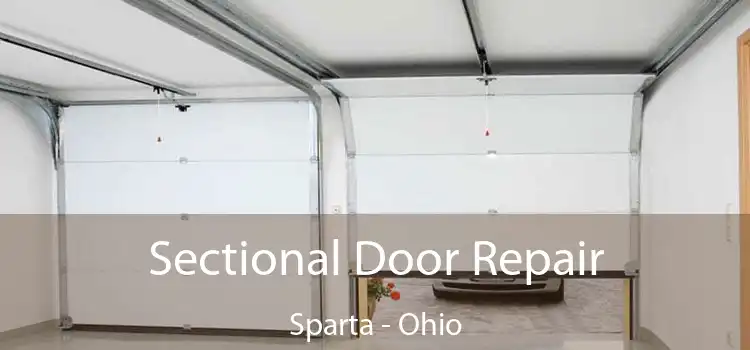 Sectional Door Repair Sparta - Ohio