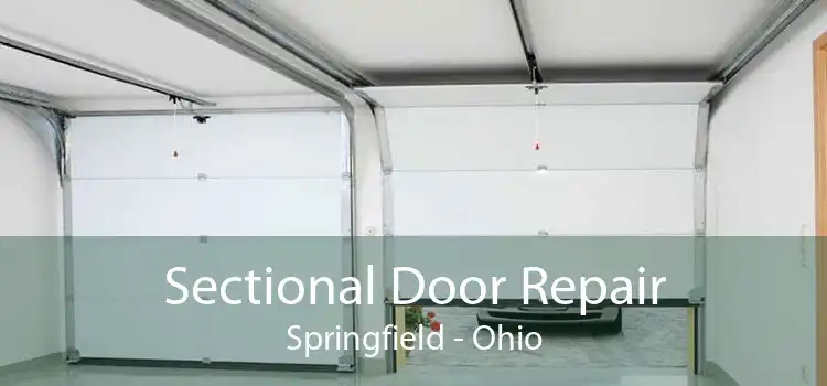 Sectional Door Repair Springfield - Ohio