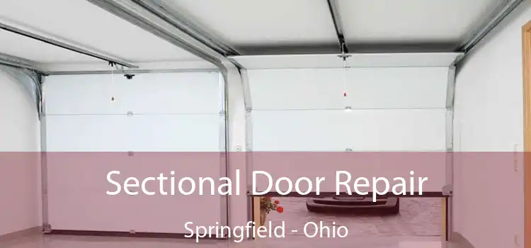 Sectional Door Repair Springfield - Ohio