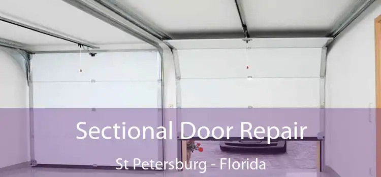 Sectional Door Repair St Petersburg - Florida