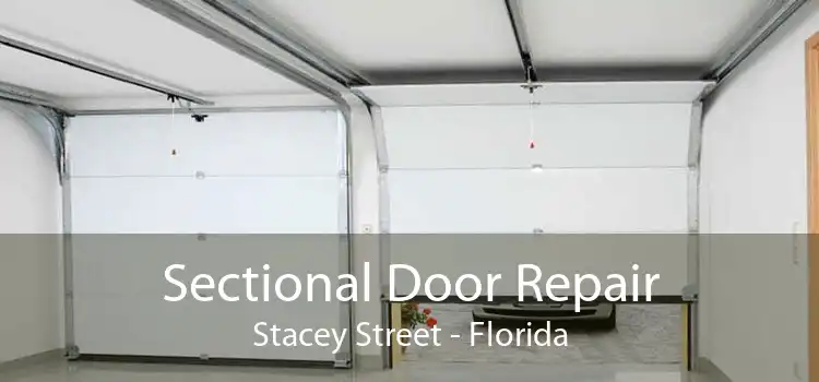 Sectional Door Repair Stacey Street - Florida