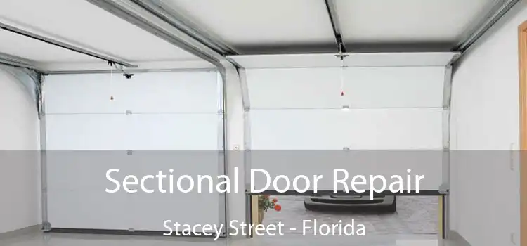 Sectional Door Repair Stacey Street - Florida