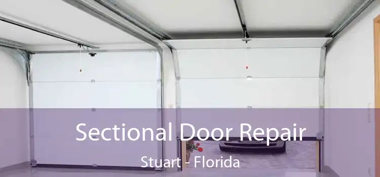 Sectional Door Repair Stuart - Florida