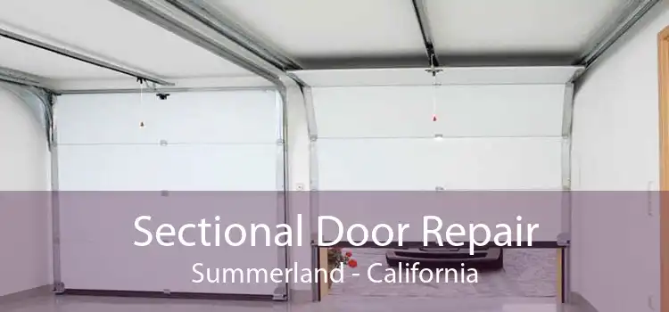 Sectional Door Repair Summerland - California