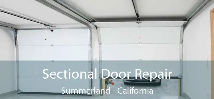 Sectional Door Repair Summerland - California