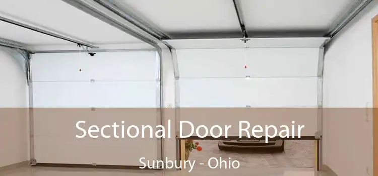 Sectional Door Repair Sunbury - Ohio