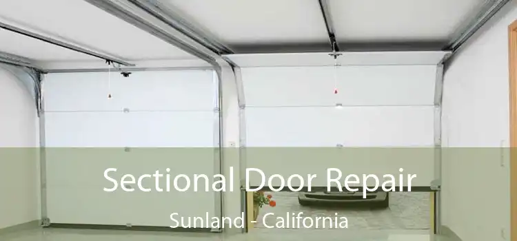 Sectional Door Repair Sunland - California