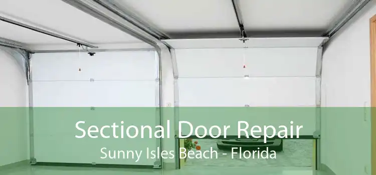 Sectional Door Repair Sunny Isles Beach - Florida