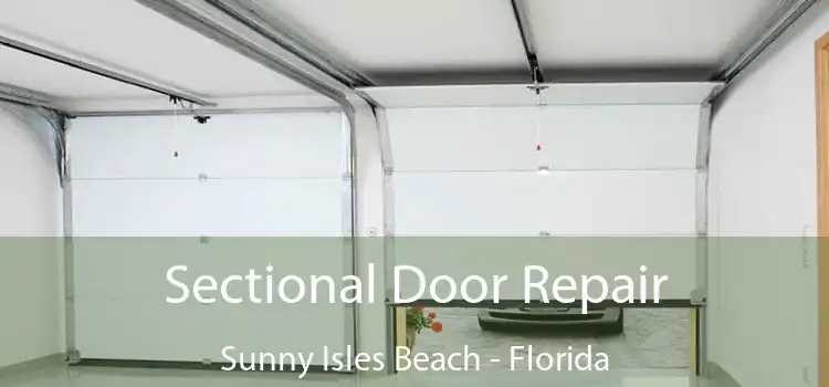 Sectional Door Repair Sunny Isles Beach - Florida