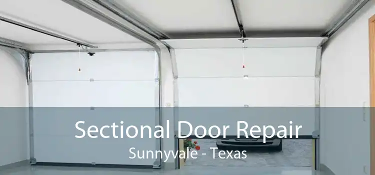 Sectional Door Repair Sunnyvale - Texas