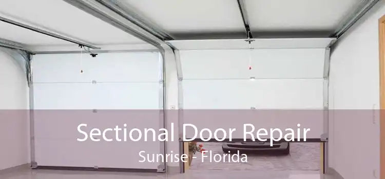 Sectional Door Repair Sunrise - Florida