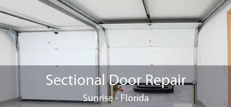 Sectional Door Repair Sunrise - Florida