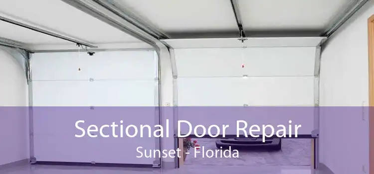 Sectional Door Repair Sunset - Florida