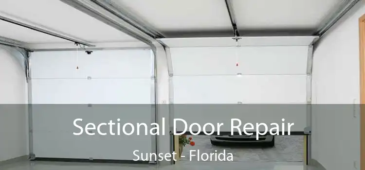 Sectional Door Repair Sunset - Florida