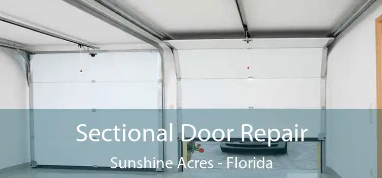 Sectional Door Repair Sunshine Acres - Florida