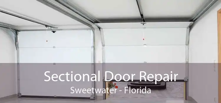 Sectional Door Repair Sweetwater - Florida