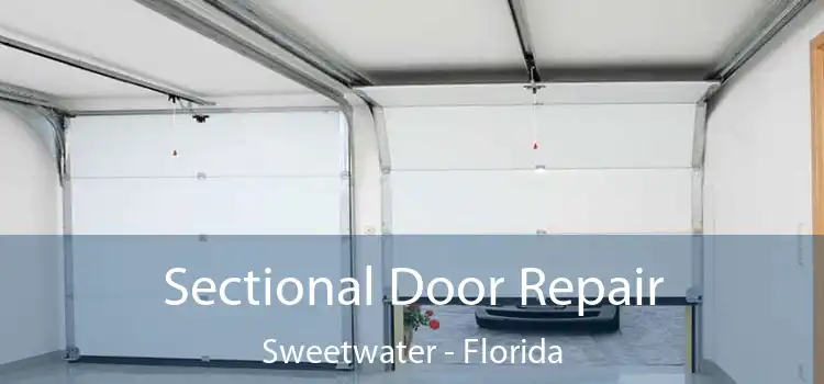 Sectional Door Repair Sweetwater - Florida