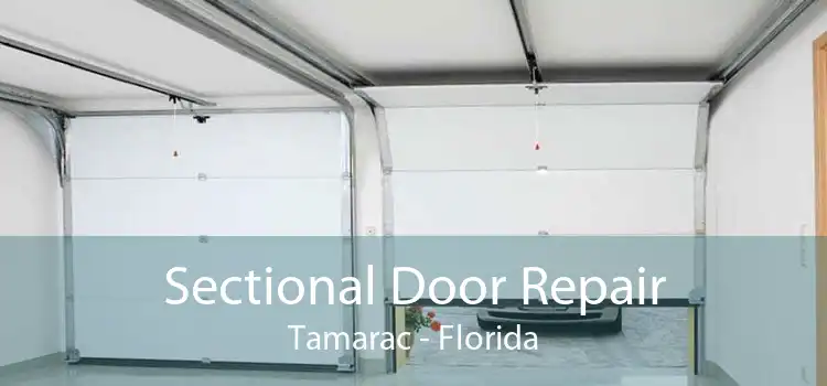Sectional Door Repair Tamarac - Florida