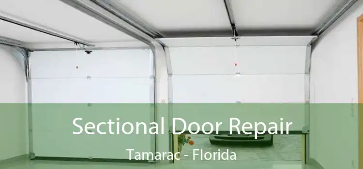 Sectional Door Repair Tamarac - Florida