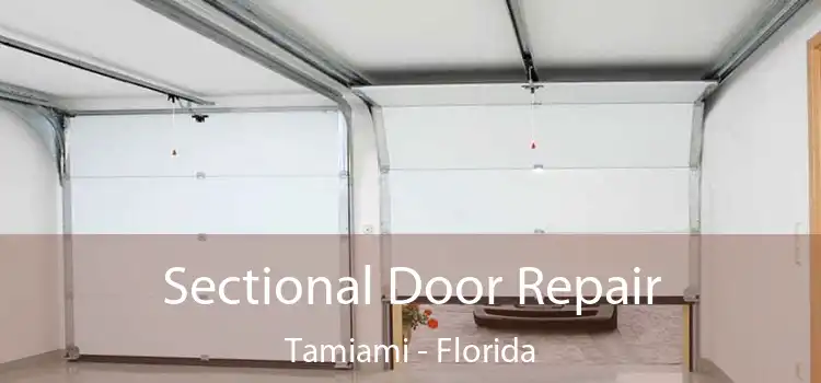 Sectional Door Repair Tamiami - Florida