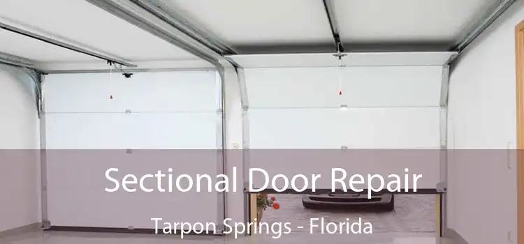 Sectional Door Repair Tarpon Springs - Florida