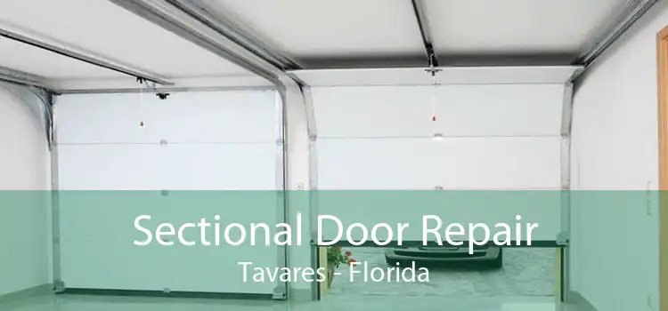Sectional Door Repair Tavares - Florida