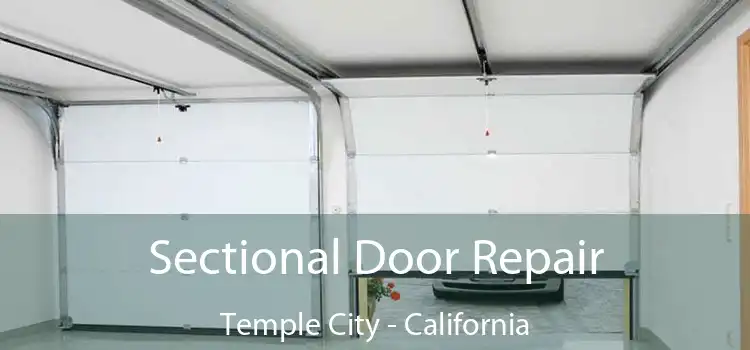 Sectional Door Repair Temple City - California