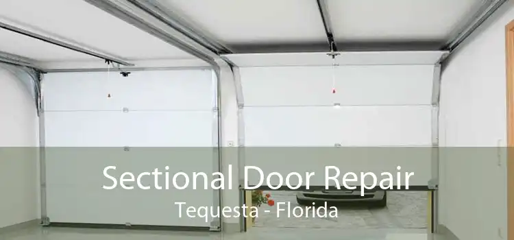 Sectional Door Repair Tequesta - Florida