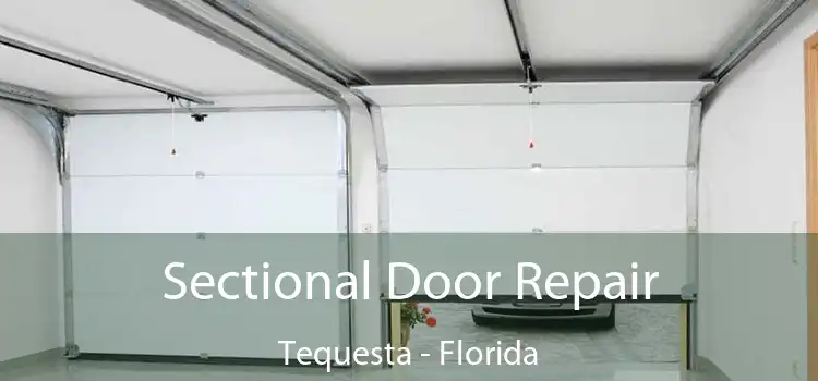 Sectional Door Repair Tequesta - Florida