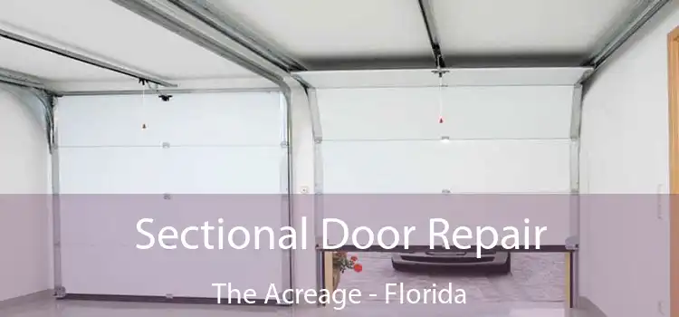 Sectional Door Repair The Acreage - Florida