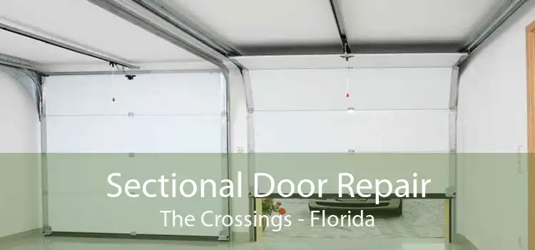 Sectional Door Repair The Crossings - Florida