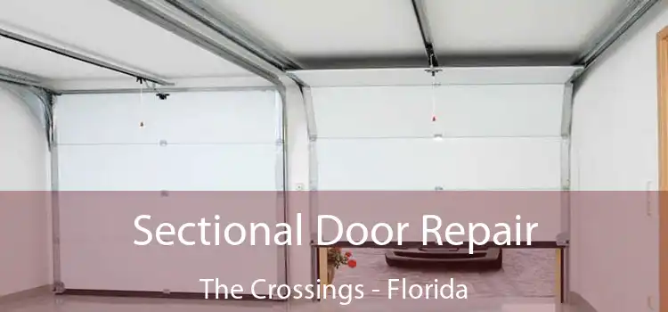 Sectional Door Repair The Crossings - Florida