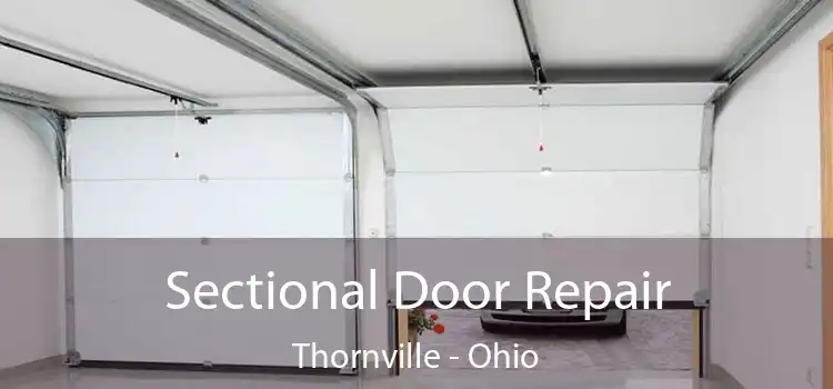 Sectional Door Repair Thornville - Ohio