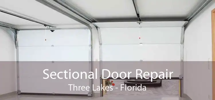 Sectional Door Repair Three Lakes - Florida