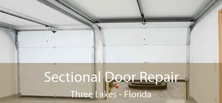 Sectional Door Repair Three Lakes - Florida