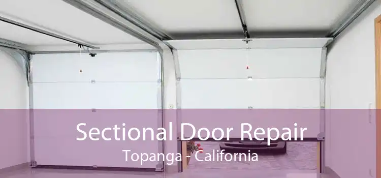 Sectional Door Repair Topanga - California