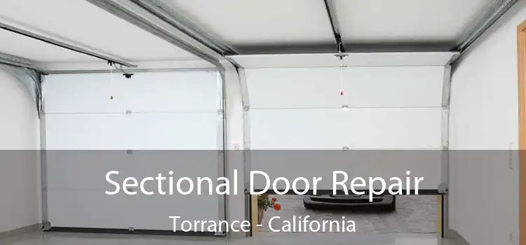 Sectional Door Repair Torrance - California