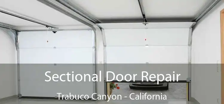 Sectional Door Repair Trabuco Canyon - California