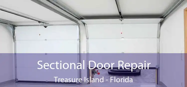 Sectional Door Repair Treasure Island - Florida