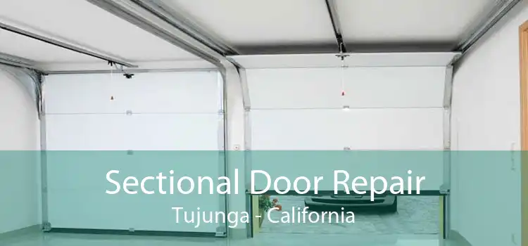 Sectional Door Repair Tujunga - California