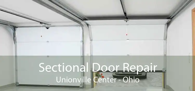 Sectional Door Repair Unionville Center - Ohio