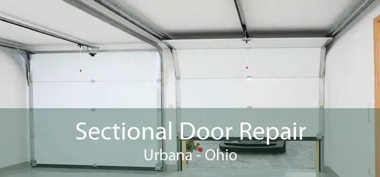 Sectional Door Repair Urbana - Ohio