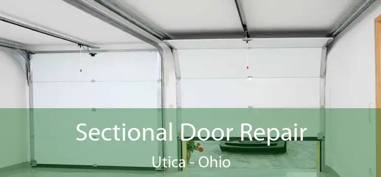 Sectional Door Repair Utica - Ohio