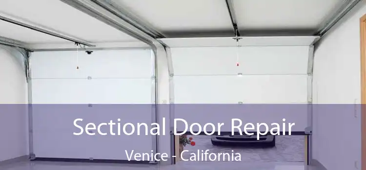 Sectional Door Repair Venice - California