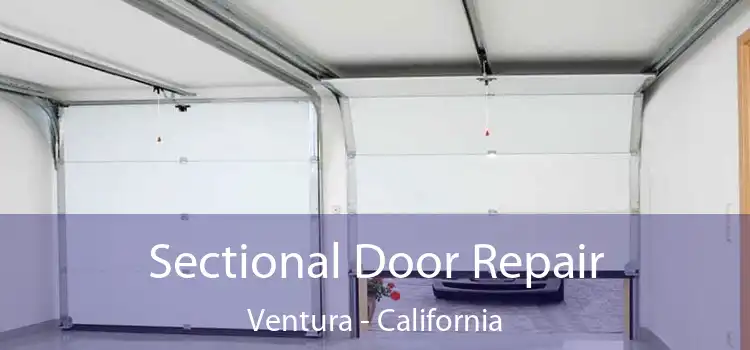 Sectional Door Repair Ventura - California