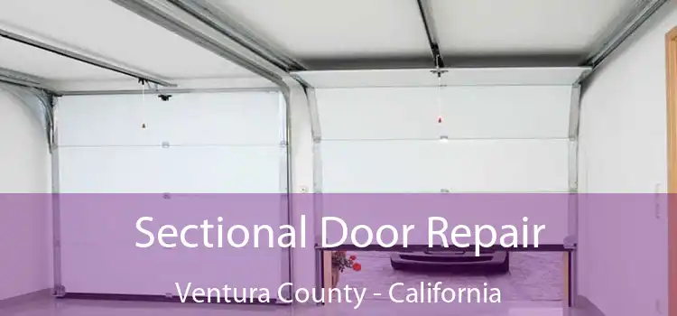 Sectional Door Repair Ventura County - California