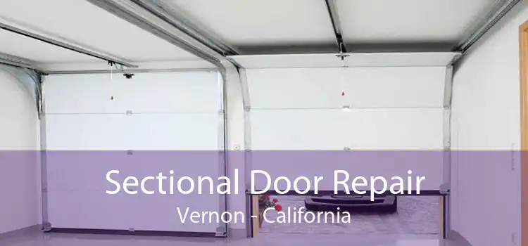 Sectional Door Repair Vernon - California