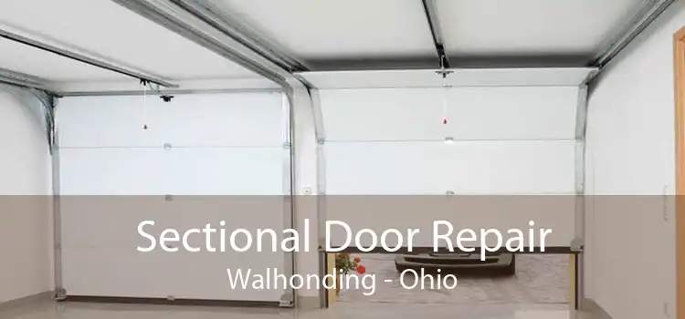 Sectional Door Repair Walhonding - Ohio